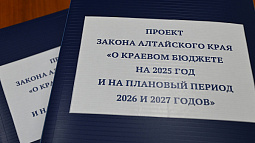 Правительство края прогнозирует рост доходов регионального бюджета