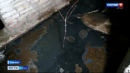 Жители барнаульской многоэтажки больше месяца ведут борьбу с управляющей компанией из-за сырости в подвале