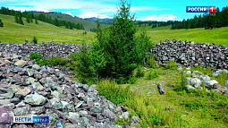 В Алтайском крае стартуют «Открытые дни археологии»