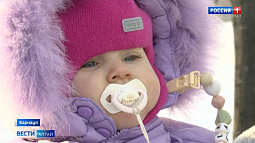 Алтайская организация усыновителей «День аиста» получит президентский грант