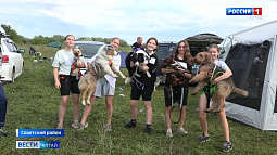 В Cоветском районе впервые прошли соревнования по экстремальному бегу с собаками