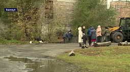 Жители улицы Загородной жалуются на постоянные лужи после дождей