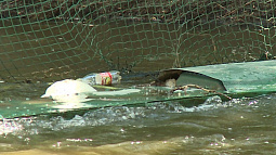 Неравнодушные горожане установили на Барнаулке уловитель мусора