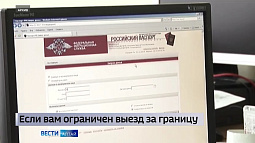 При ограничении выезда за границу, россиянам теперь даётся пять дней на сдачу загранпаспорта