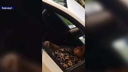 В Барнауле задержали жителя иностранного государства сразу за два правонарушения