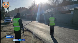 «Родительский патруль» организовали возле школы № 96 в Борзовой Заимке