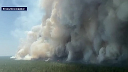 Третий день подряд бушует масштабный пожар в Егорьевском районе