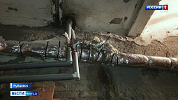 Жители одного из домов в Рубцовске страдают от зловония