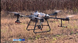 Алтайский аграрный университет примет участие в федеральном проекте