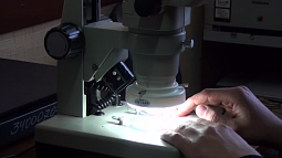 В Алтайском крае в три раза выросло количество поддельных банкнот