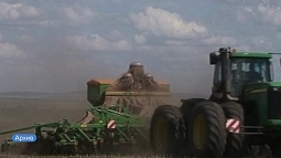 В Алтайском крае стартовала осенняя посевная кампания