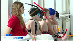 Лучшие юные пловцы со всей Сибири собрались на Алтае