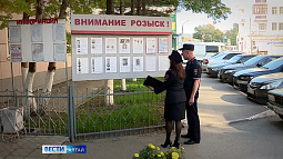 Как в Алтайском крае ищут пропавших людей?