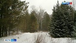 В Алтайском крае усилили патрулирование лесов