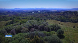 Многие россияне выбирают спонтанные путешествия