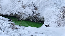 В Барнауле ищут людей, из-за  которых позеленела Пивоварка