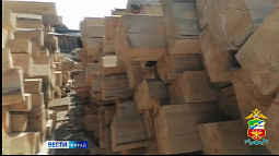 Транспортные полицейские Алтайского края за год пресекли незаконный вывоз за рубеж более 14 тыс. кубометров лесоматериалов