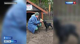 В барнаульском зоопарке маленький барашек выбрал «мамой» сотрудницу