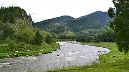 Нужны ли ГЭС в Алтайском крае?