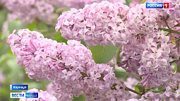 Барнаульский дендрарий утопает в весенних красках