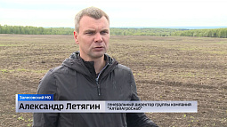В крае развивается конфликт вокруг предпринимателя Александра Летягина и его агрохолдинга