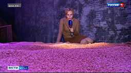 «Вести Алтай»: самое интересное и яркое за 2016 год