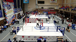 Сегодня в Барнауле стартовал чемпионат Сибири по кикбоксингу