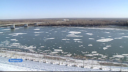 Пятнистая и кружевная шуга появилась на Оби