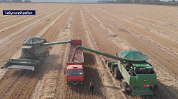 Минсельхоз Казахстана ввёл запрет на импорт российского зерна, ввозимого автотранспортом