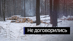 Минприроды и холдинг «Алтайлес» попытались мирно уладить вопрос с расторжением договоров аренды лесных участков