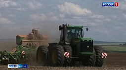 В Алтайском крае завершился сев озимых