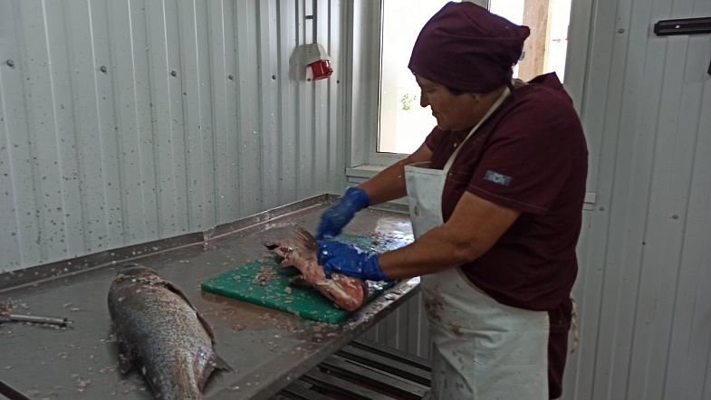 «Меняем стейк из сёмги на карася»: АО «Курорт Белокуриха» постепенно отказывается от морской рыбы