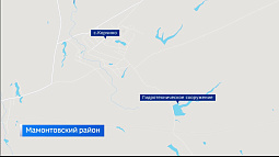 Власти Мамонтовского района отреагировали на сюжет «Вестей» о полумёртвой рыбе