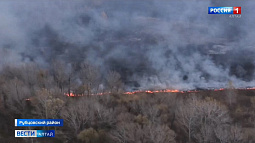91 пожар произошёл на этих выходных в Алтайском крае. Есть жертвы