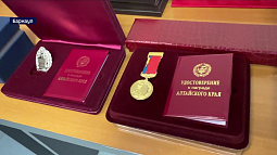 Почти 70 фактов незаконных рубок древесины зафиксировали лесники Алтайского края с начала года