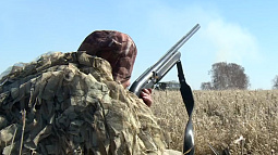 Сезон охоты на водоплавающую дичь открывается завтра в большинстве районов Алтайского края