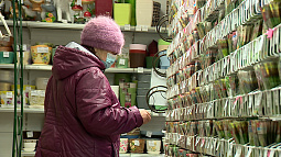 Какие выбрать семена, чтобы собрать урожай побольше?