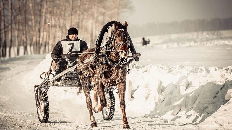 В Налобихе пройдут конные бега беспородных лошадей