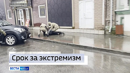 Житель Барнаула признан виновным в публичном оправдании терроризма и призывах к экстремистской деятельности