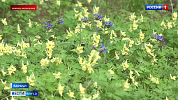 1 мая открывается экскурсионный сезон в барнаульском дендрарии