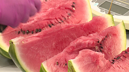 В воскресенье в барнаульском зоопарке пройдёт арбузная вечеринка