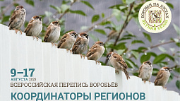 Жителей края приглашают поучаствовать в переписи воробьёв