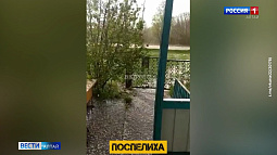 В нескольких районах Алтайского края в середине мая выпал снег