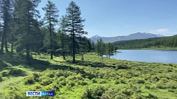 Врачи и фармацевты со всей России и из-за рубежа изучают целебную силу алтайских трав