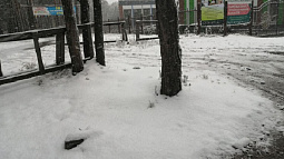 Коммунальные и дорожные службы Барнаула устраняют последствия непогоды