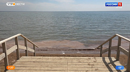 В Яровом берега станут укреплять за федеральный счёт