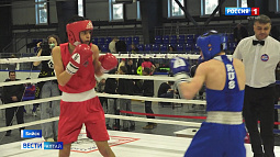 В Бийске разыграют путёвки на первенство России по боксу