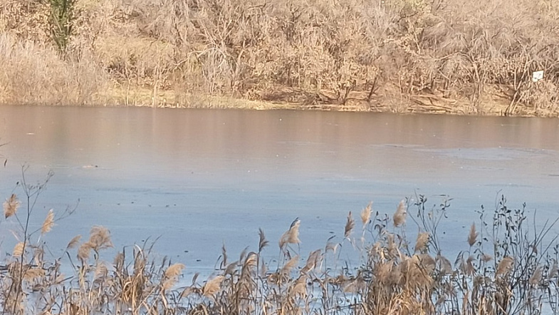Два случая провала под лёд произошли в Барнауле на одном водоёме с разницей в несколько часов