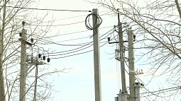 В антимонопольной службе Алтайского края рассказали о нарушениях, с которыми ведомство разбиралось в 2025 году