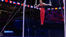 Любители спорта на Алтае следят сразу за тремя мировыми чемпионатами – в Голландии, Колумбии и Аргентине